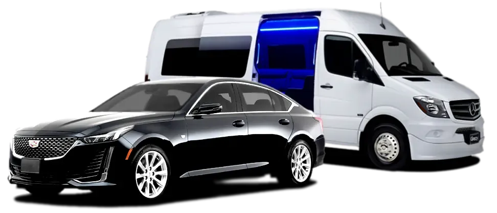 Luxury Sedan and Van