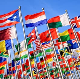 Embassies & Diplomats Transportation