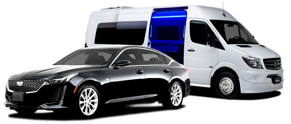 Luxury Sedan and Van